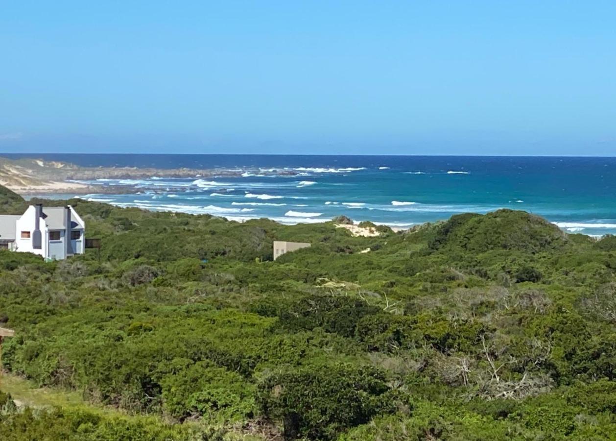 A Real Gem In Cape St Francis Villa Cape Saint Francis Exterior foto