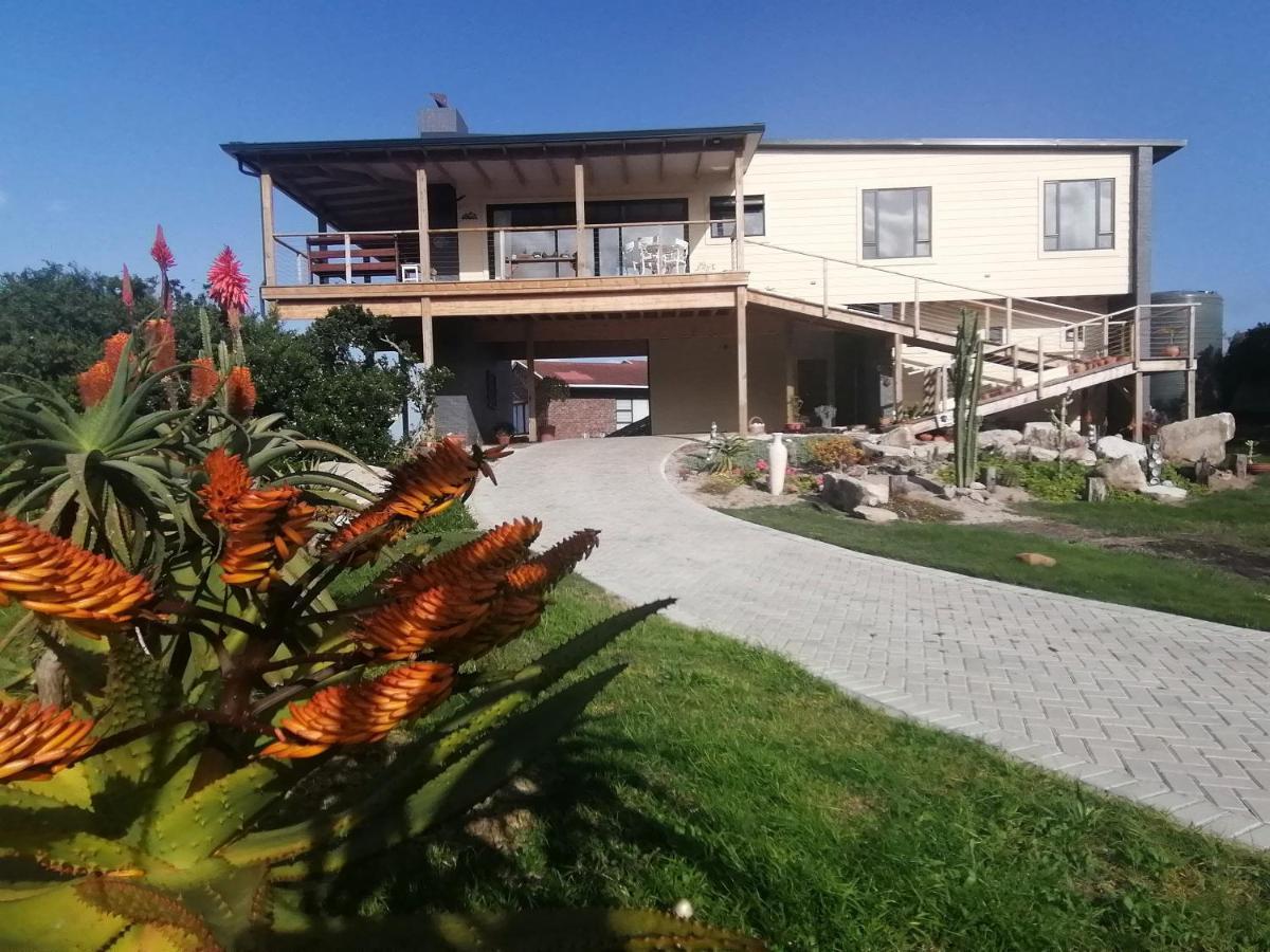 A Real Gem In Cape St Francis Villa Cape Saint Francis Exterior foto